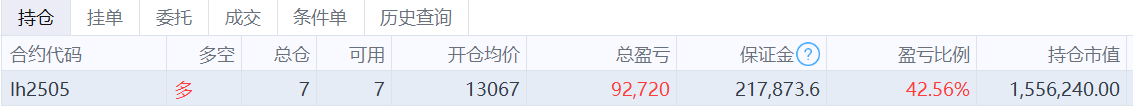 生猪2505期货仓位示例2